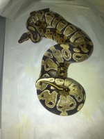 IMG-20111218-00253.jpg