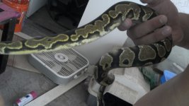 2012-02-12_09-43-29_840.jpg