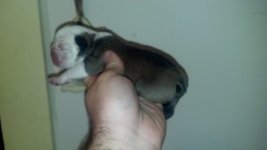 2012-06-22_18-45-51_576.jpg