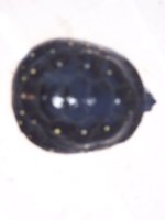 000_1577.jpg