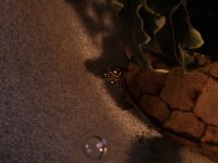 escambia_3.jpg