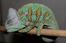 IMG_1147.jpg