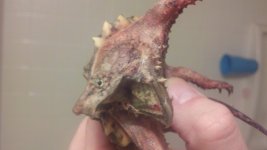 2012-03-03_18-25-58_403.jpg