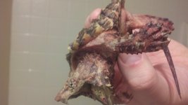 2012-03-03_18-26-07_291.jpg