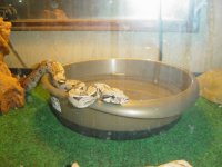 DSC01087.jpg