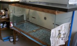75 gal.jpg