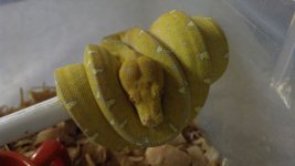 2012-06-05_14-43-14_358.jpg
