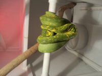 20120501_185201.jpg