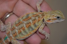 DSC_6795.jpg