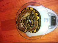 photo-1.jpg