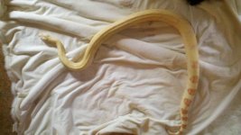 2011-12-22_12-16-51_515.jpg