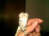 IMAG0214.jpg