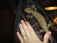 2nd Baby2.web.jpg
