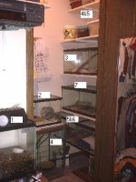 closet.jpg