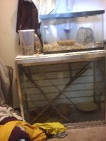 snake case.jpg