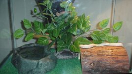casper\'s home.jpg