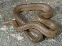 Unicolor-Ensenada 3.jpg
