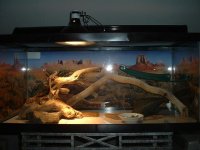 DSCF00516.JPG
