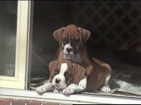 1st day home.jpg