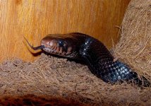 Picture2 (Small).jpg
