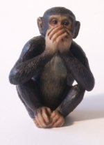 chimpanzee_speak_no_evil.jpg