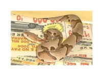 copperhead.jpg