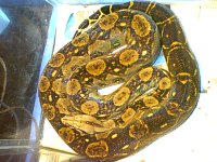 image003.jpg