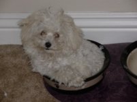 new camera pics 007.jpg