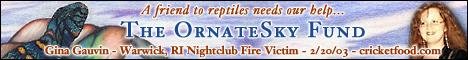 ornateskybanner.jpg