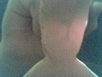 picture 47.jpg