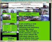 turtlemandanmyspace3.jpg