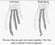 littlefeet.jpg