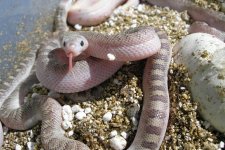 P5230027.JPG