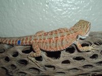 DSCF1278.JPG
