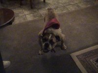 DSC00645.JPG