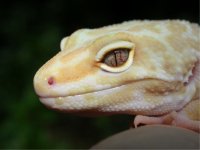 pinky smile2.jpg