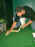 4204113_scaled_120x160.jpg
