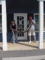 6022823_scaled_240x320.jpg