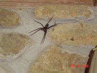 DSC04117.JPG
