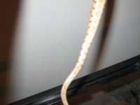 IMG_2123.JPG