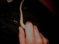 IMG_2169.JPG