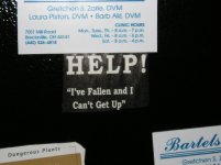 help.JPG