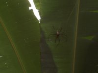100_3254.jpg