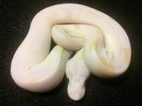 2012-01-07_21-31-05_630.jpg
