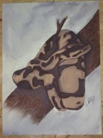 IMG_20120129_213404.jpg