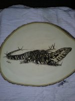 IMG_20120128_171325.jpg