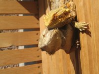 IMG_0663.jpg