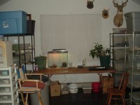 DSCF0011.JPG