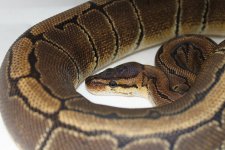 6775748772_142932868b_z[1].jpg