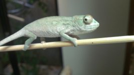 IMAG0011.jpg